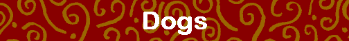 Dogs
